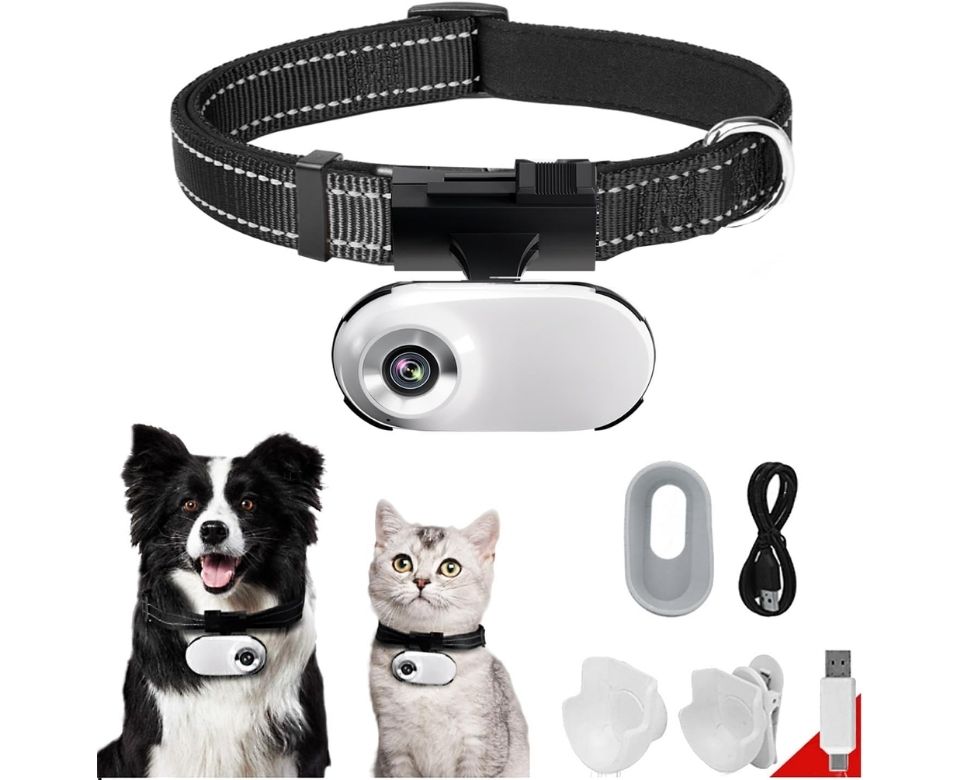 The Best Pet Cameras 2024