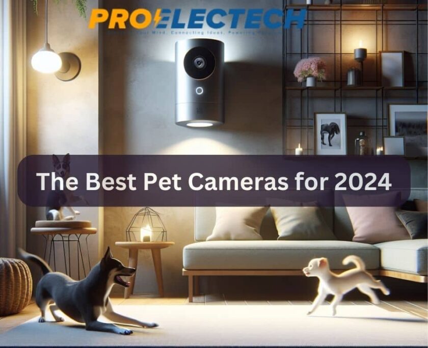 The Best Pet Cameras